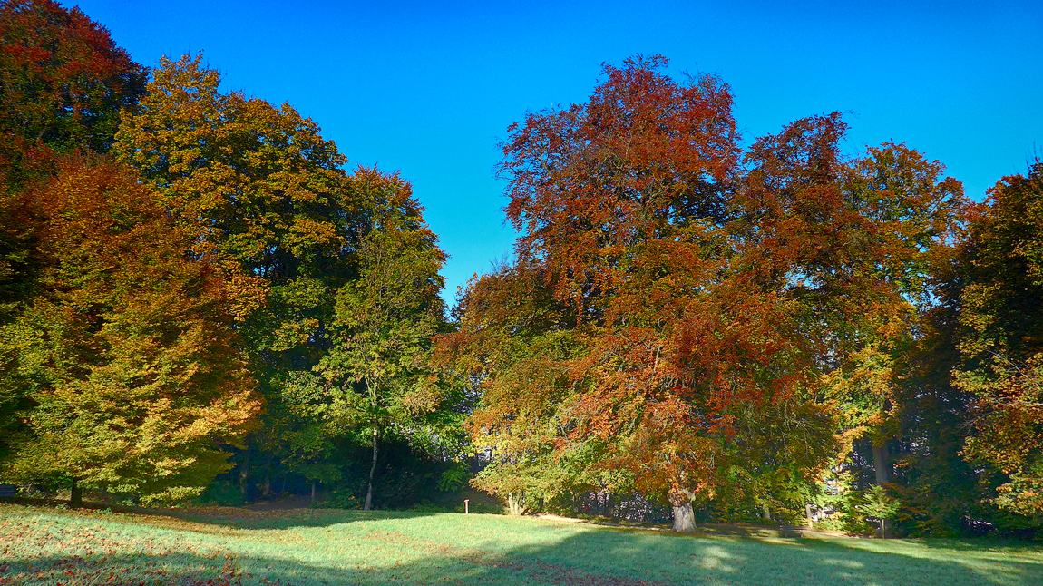 Landshut Hofberg herbstlich