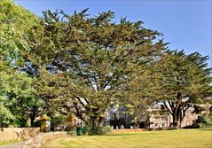 Landsitz Boringdon Hall 