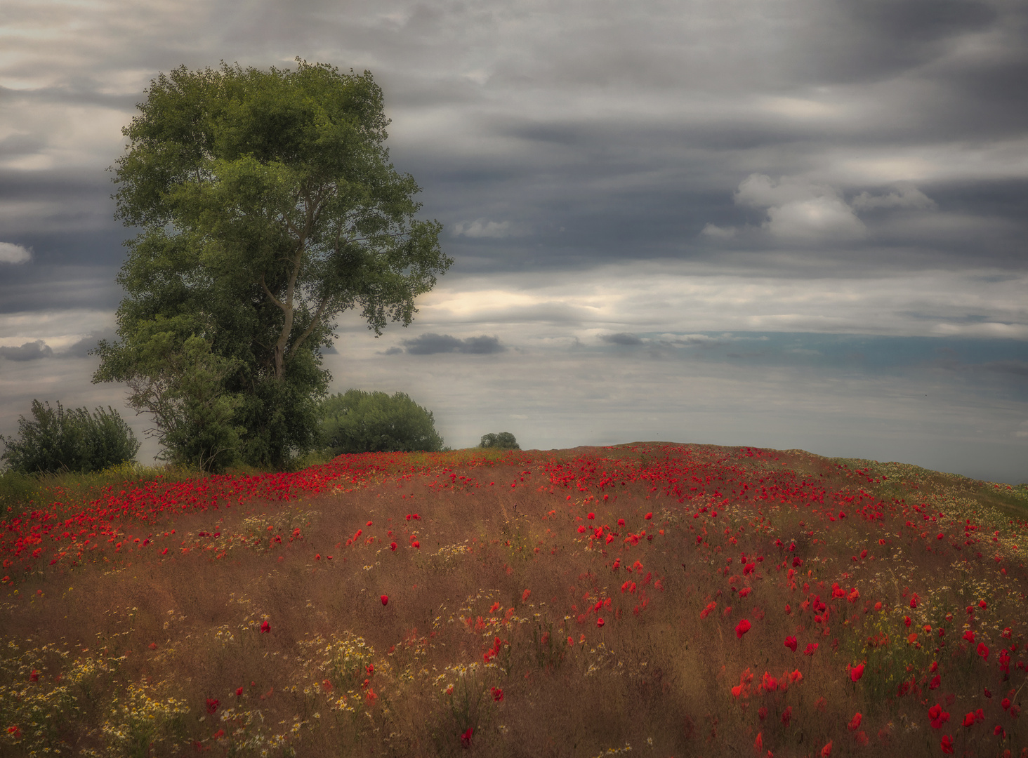 Landsommer 