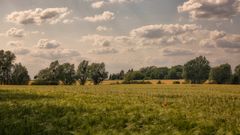 Landsommer