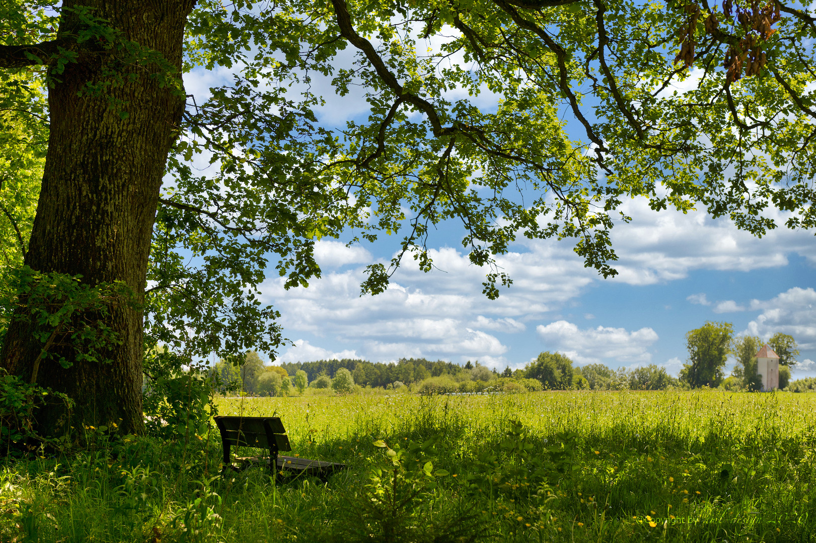 Landsommer