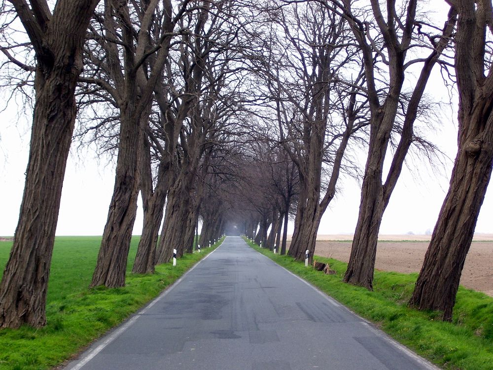 Landstrasse von hgsandmann 