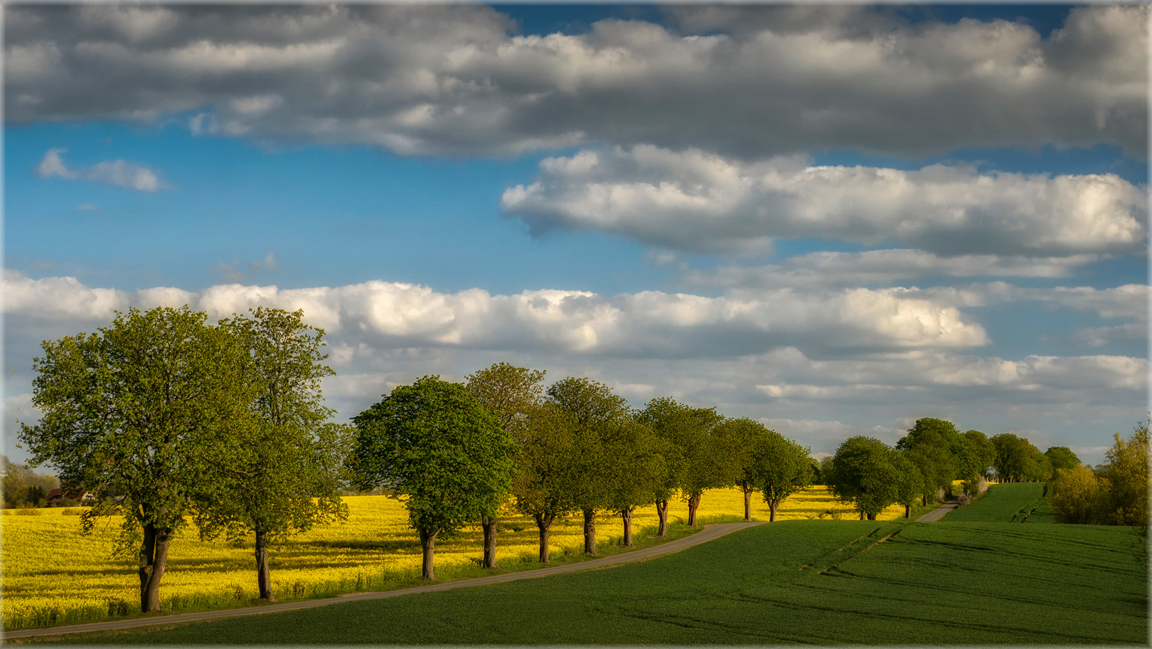 Landstraße Foto & Bild deutschland, europe, mecklenburg vorpommern