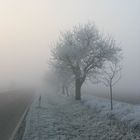 Landstraße an einem Nebelmorgen