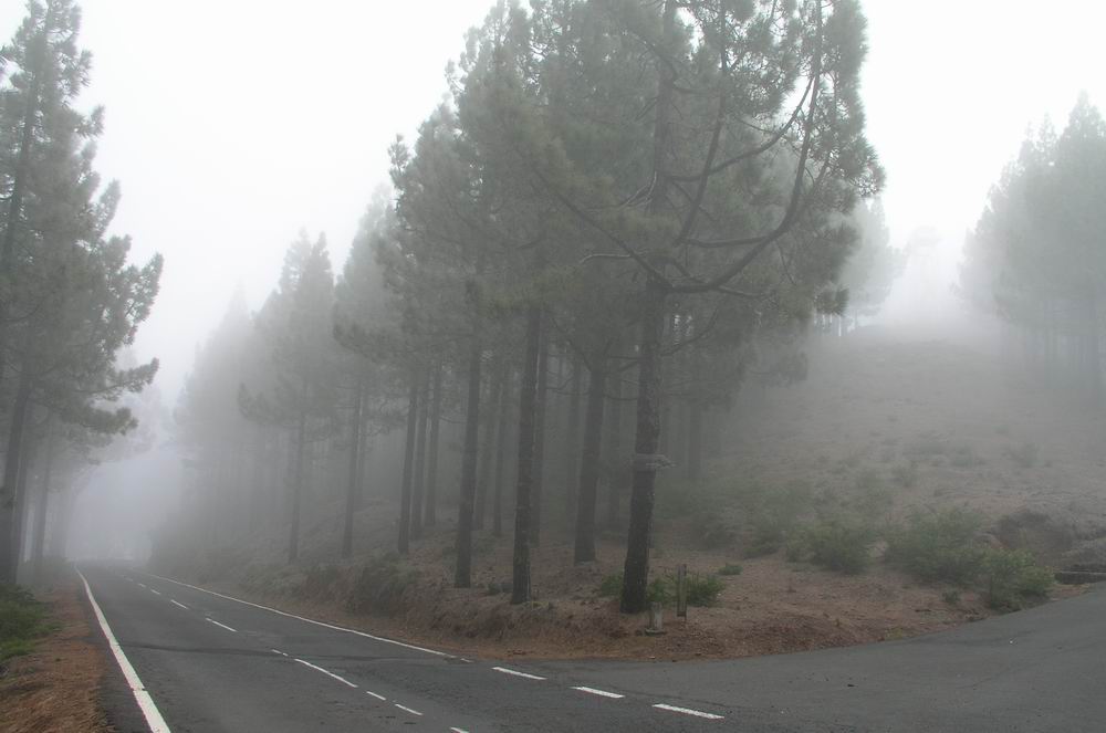 Landstraße auf Teneriffa