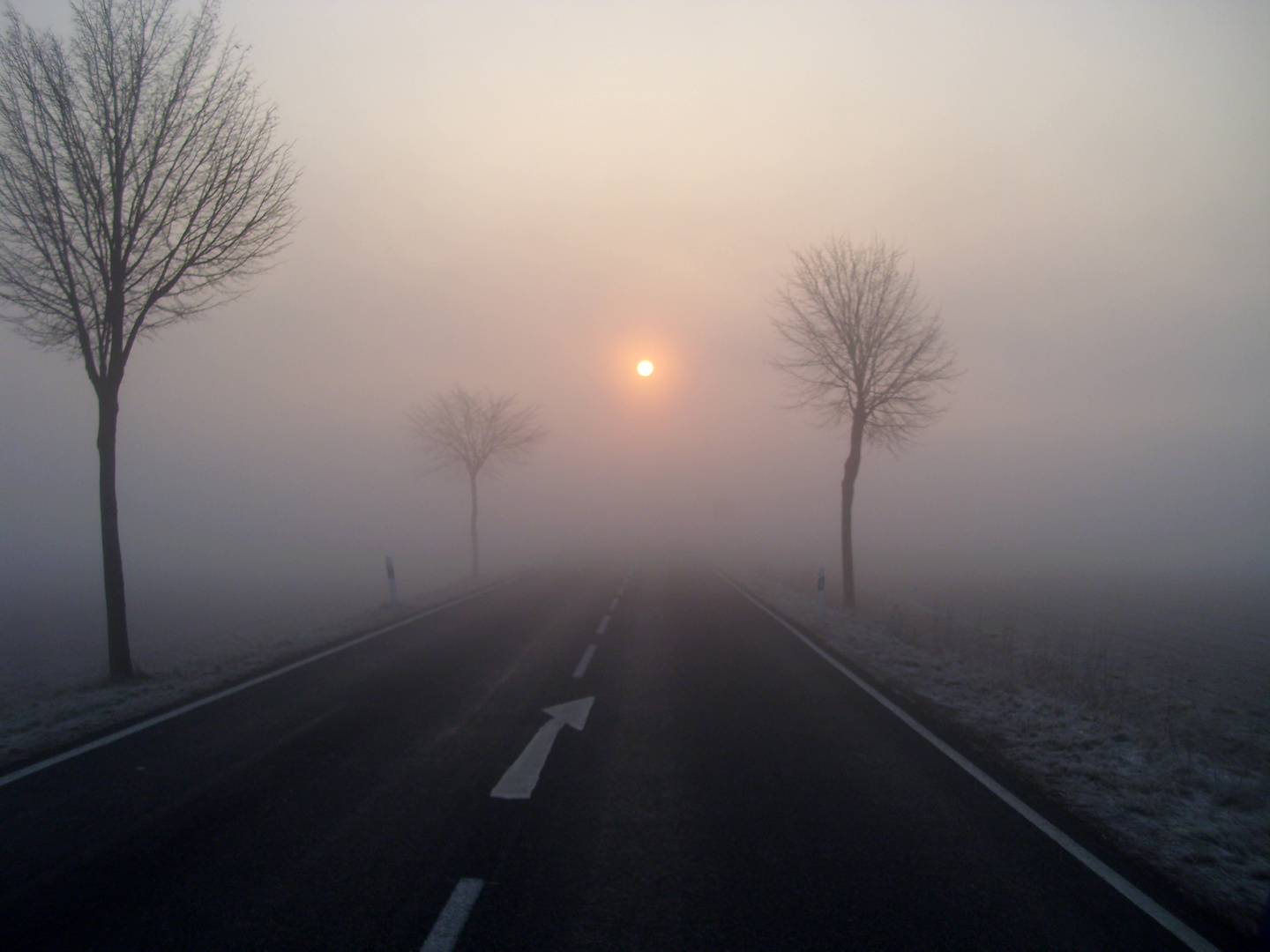 Landstraße bei Schöppenstedt, Morgendlicher Nebel, bzw. Sonnenaufgang im Nebel, März 2011