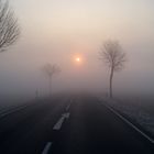 Landstraße bei Schöppenstedt, Morgendlicher Nebel, bzw. Sonnenaufgang im Nebel, März 2011