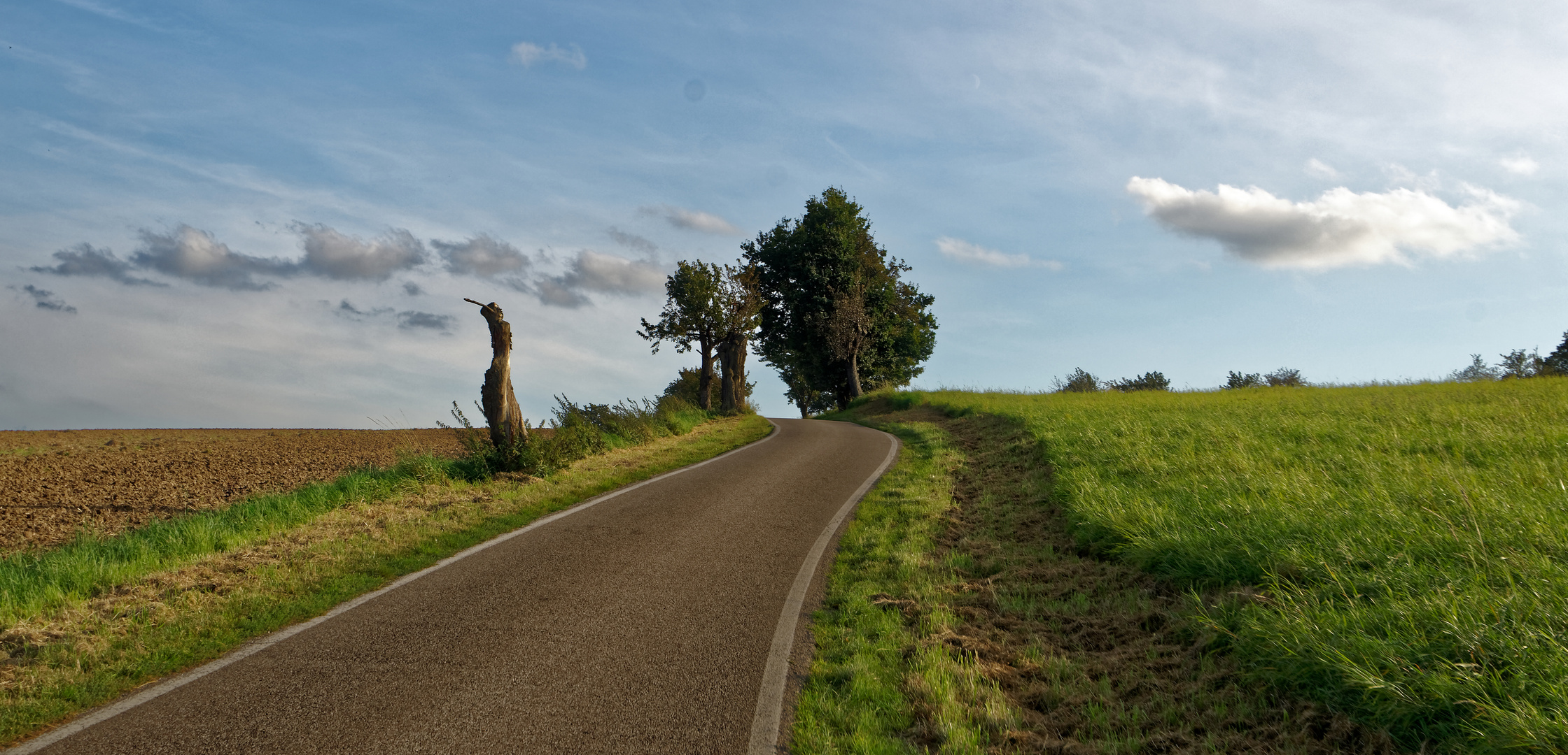 Landstraße II Foto & Bild bäume, dresden, landschaft Bilder auf