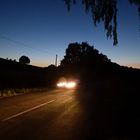 Landstraße im Abendlicht