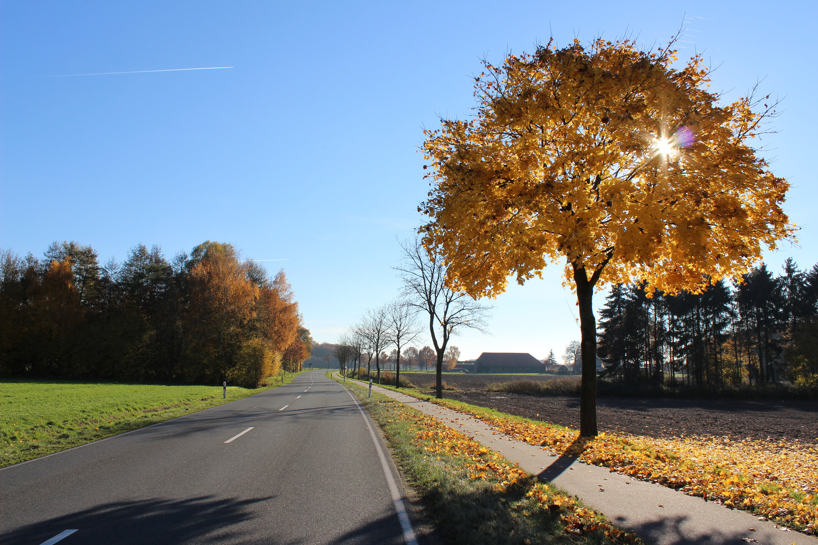 Landstraße im Herbst