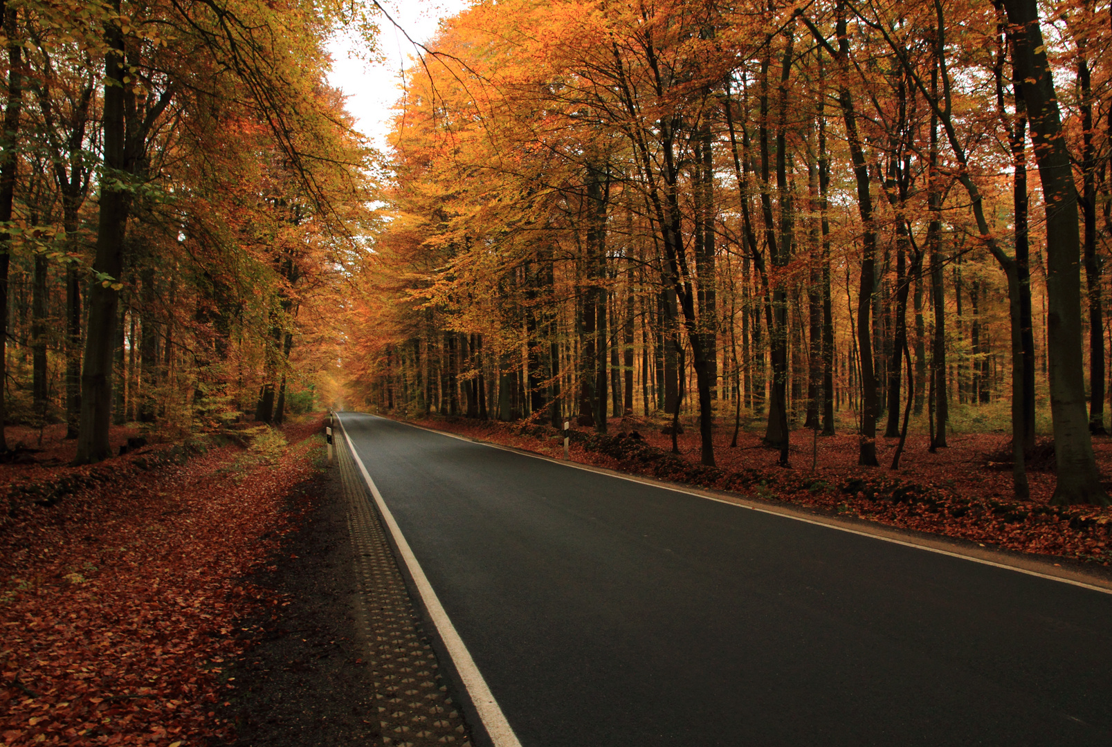 Landstrasse Im Herbst Ii Foto Bild Landstrasse Baume Natur Bilder Auf Fotocommunity