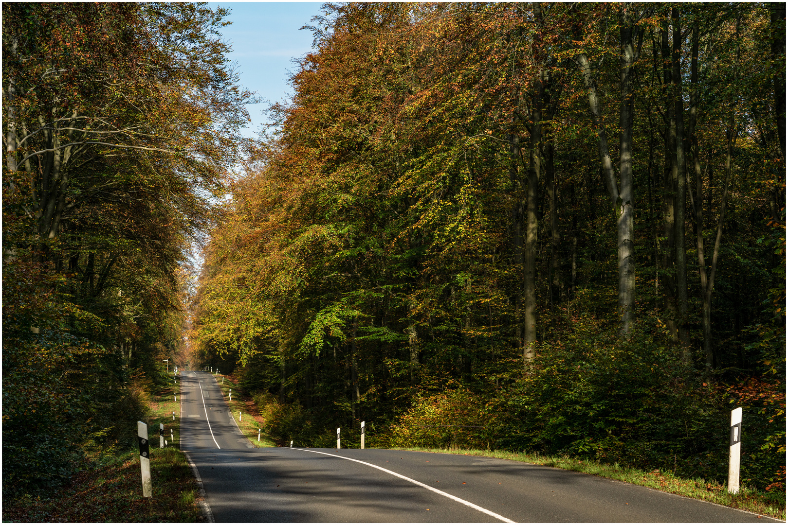 Landstraße im Herbst III Foto & Bild deutschland, europe, schleswig