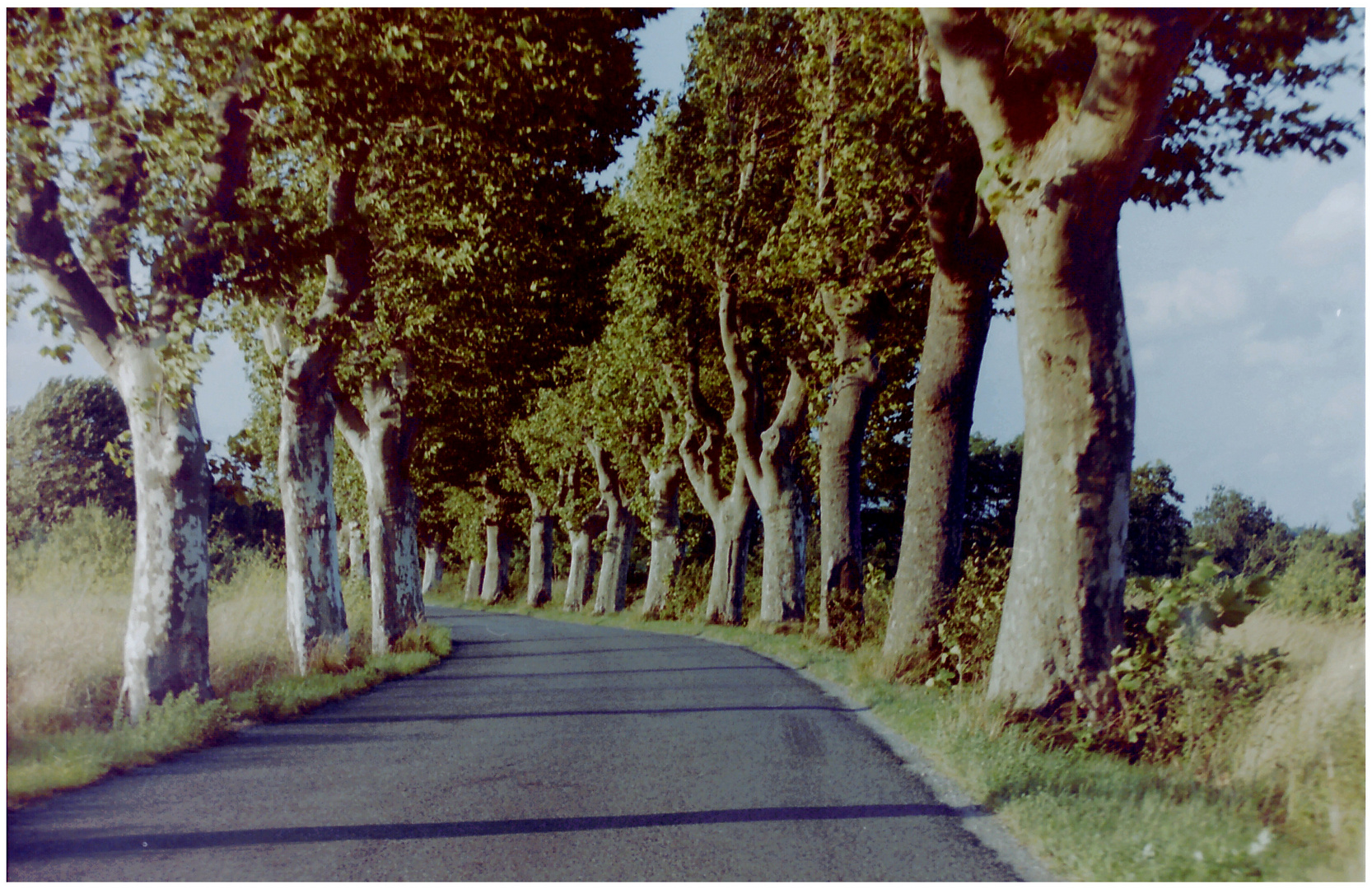 Landstraße im Minervois 2004