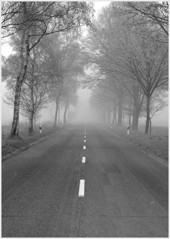 Landstraße im Nebel