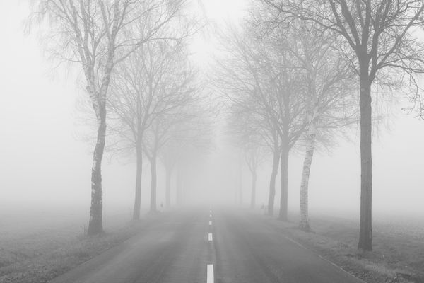 Landstraße im Nebel