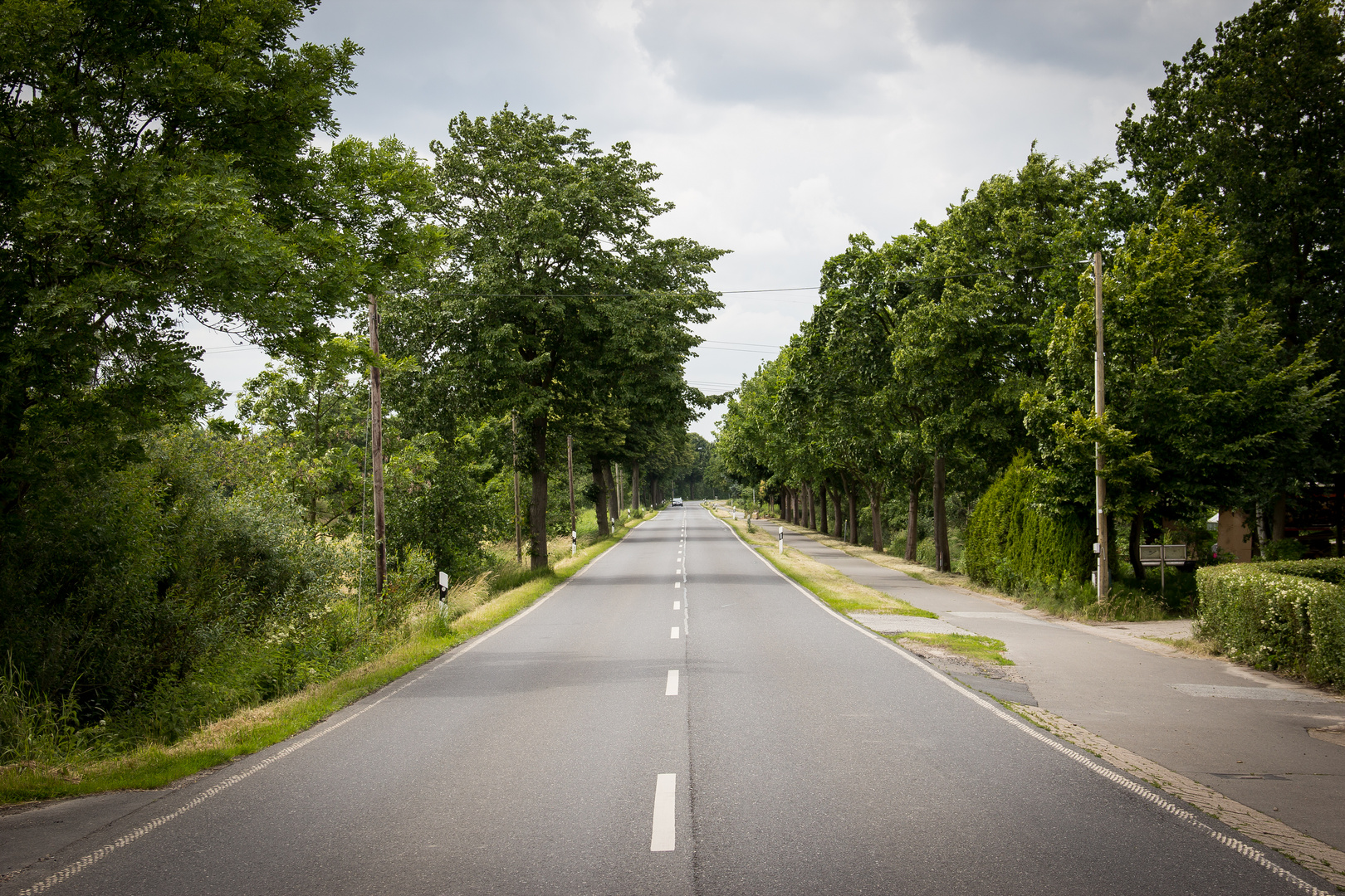 Landstrasse im Sommer