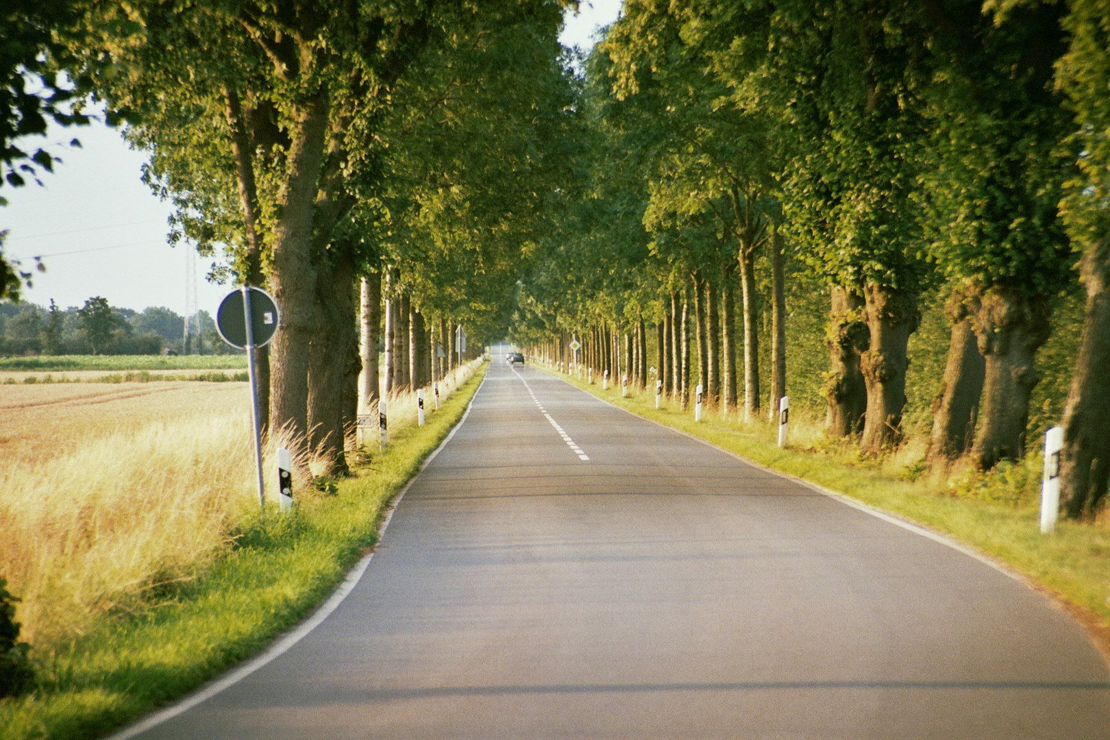 Landstrasse im Sonnenuntergang