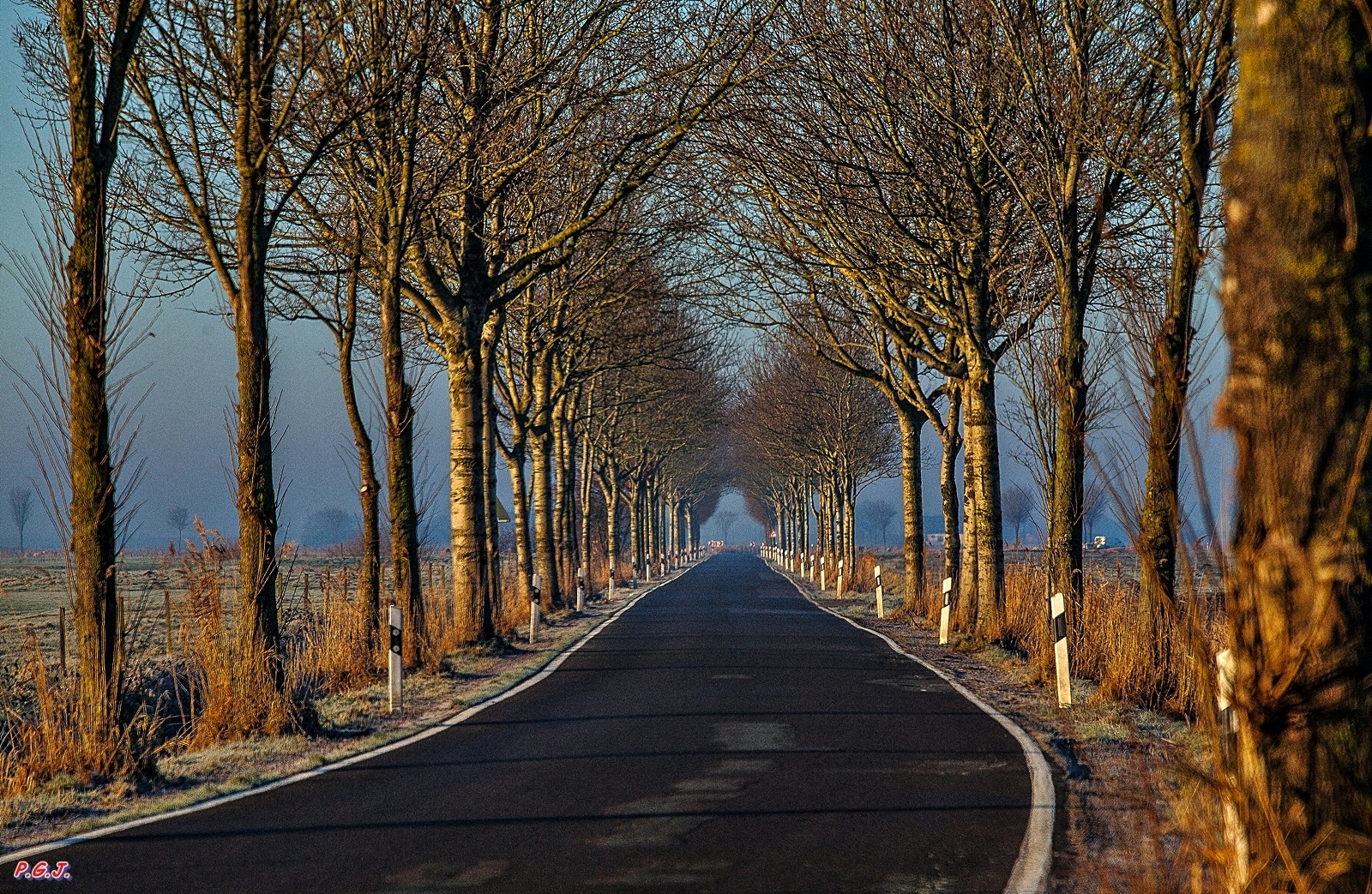 Landstraße im Winter