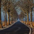 Landstraße im Winter