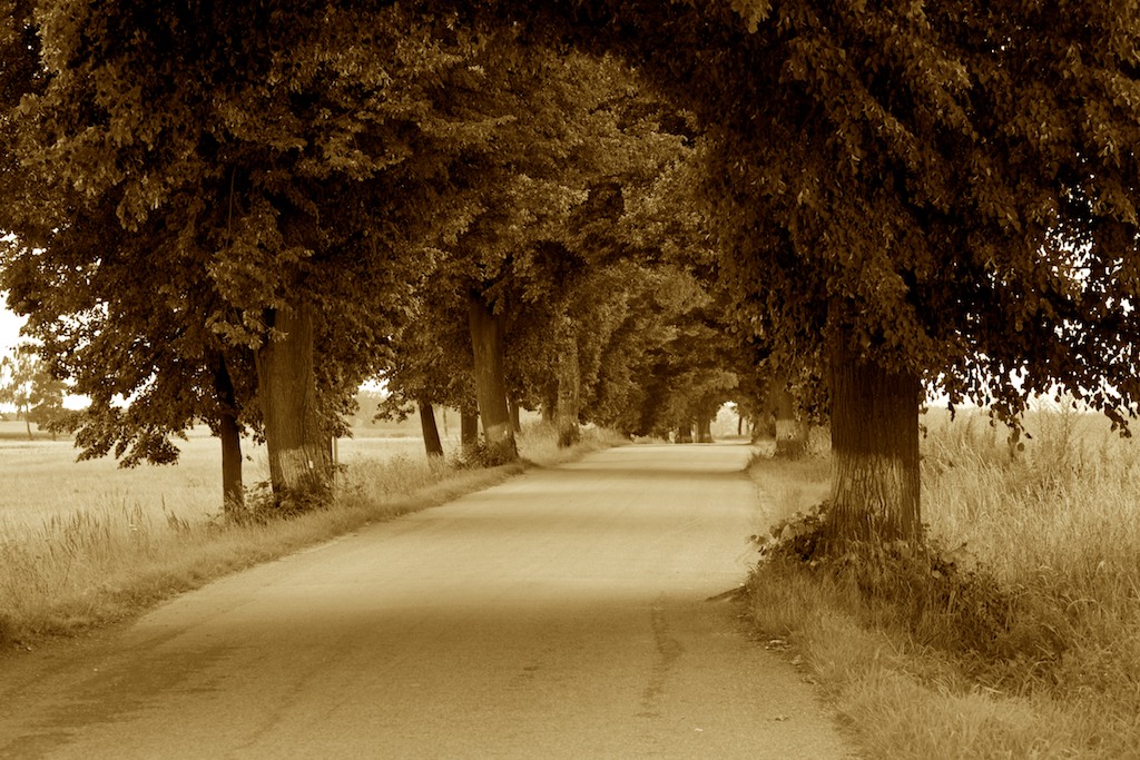 Landstrasse in Böhmen