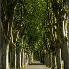 Landstraße in der Provence