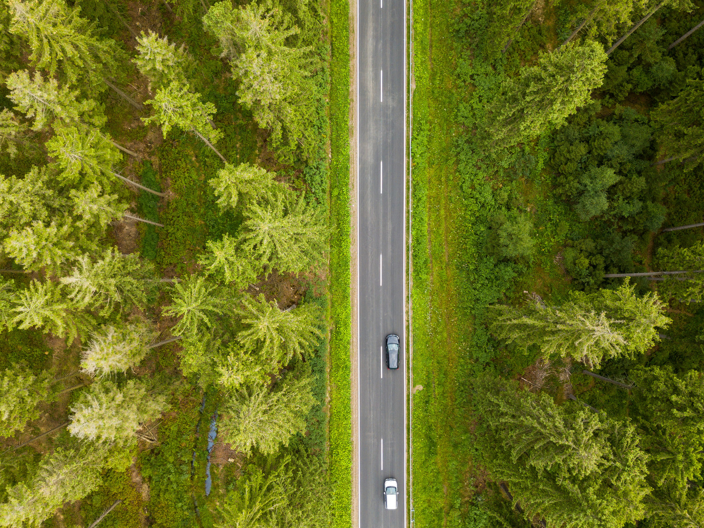 Landstraße in die Eifel