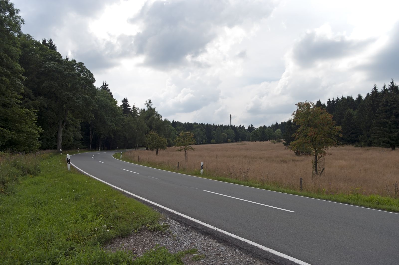 Landstraße in Wald und Wiesen...