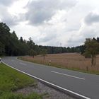 Landstraße in Wald und Wiesen...