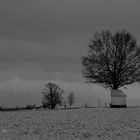 Land&Straße, Landstraße ... Schnee