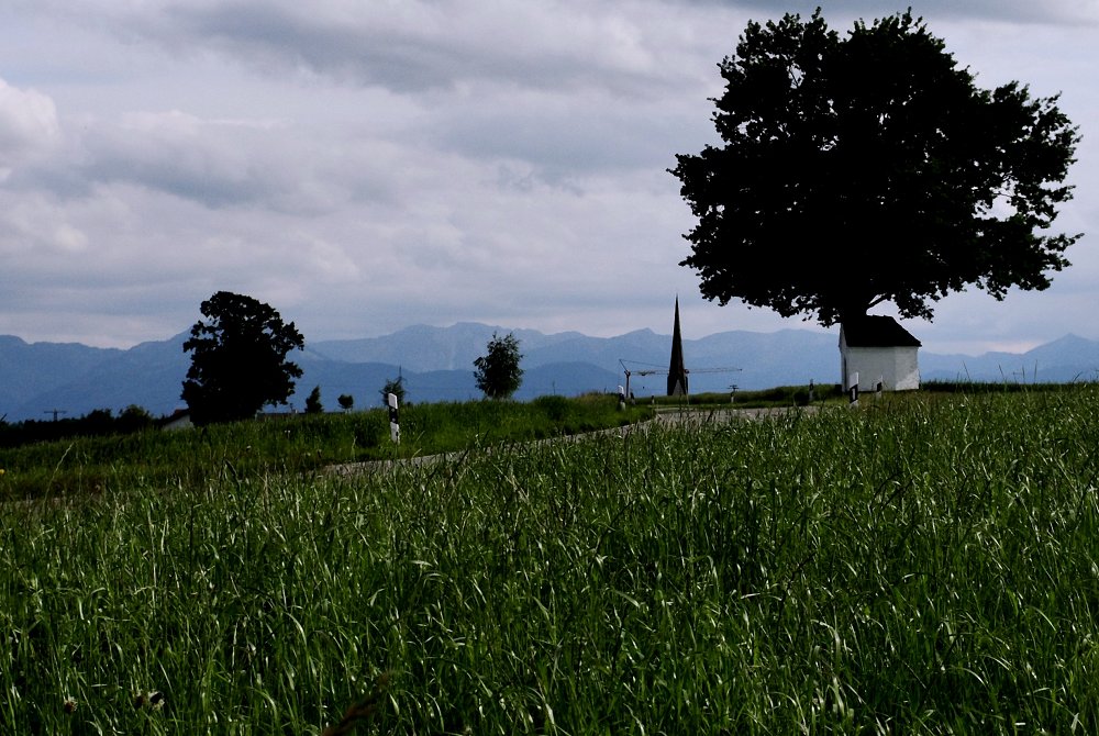 Land&Straße, Landstraße ... Sommer