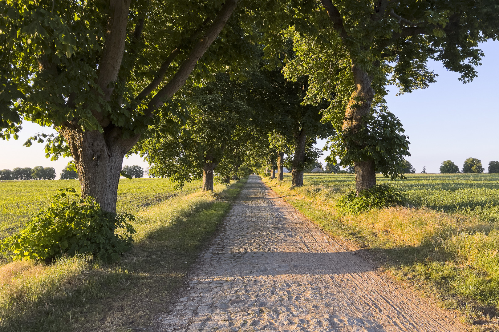 Landstraße, Mecklenburg-Vorpommern