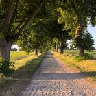 Landstraße, Mecklenburg-Vorpommern