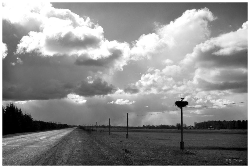 Landstraße mit Storchennest