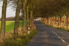 Landstraße nach Orsoy  (am Niederrhein)