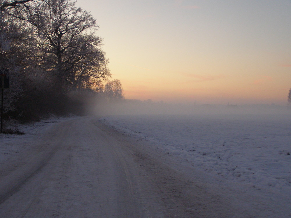 Landstraße verschwindet im dichten Nebel...