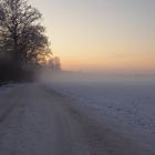 Landstraße verschwindet im dichten Nebel...