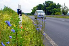 Landstraßen Flora