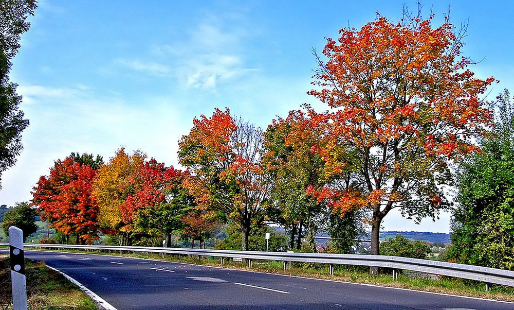 Landstrassenherbst.......