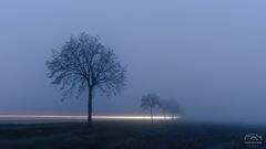 *** Landstraßennebel *** 