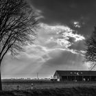 Landstraßenstimmung heute in der Eifel