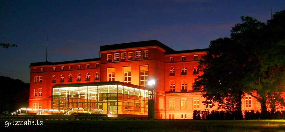 Landtag @ Night