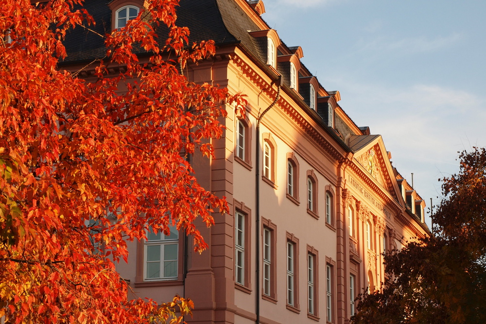 Landtag Rh.-Pf.