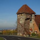 Landturm in Lauffen/N im Herbstkleid