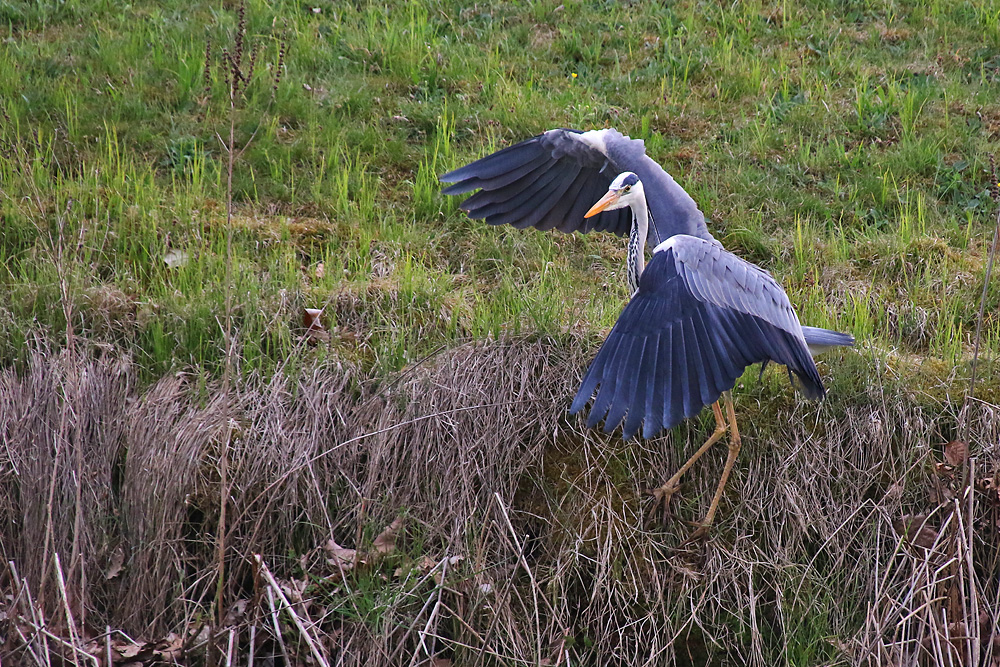 Landung am Ufer