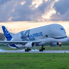 Landung eines Airbus Beluga