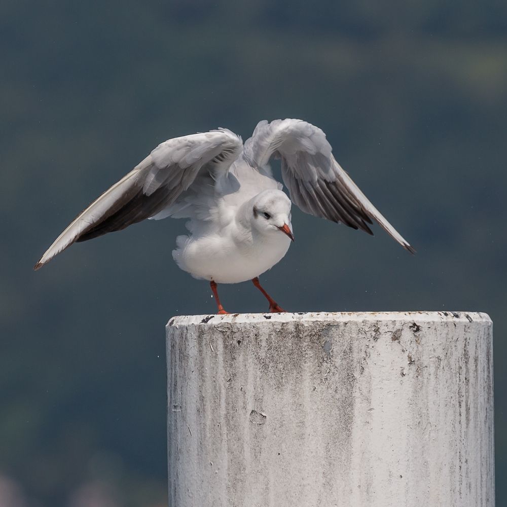 Landung geglückt