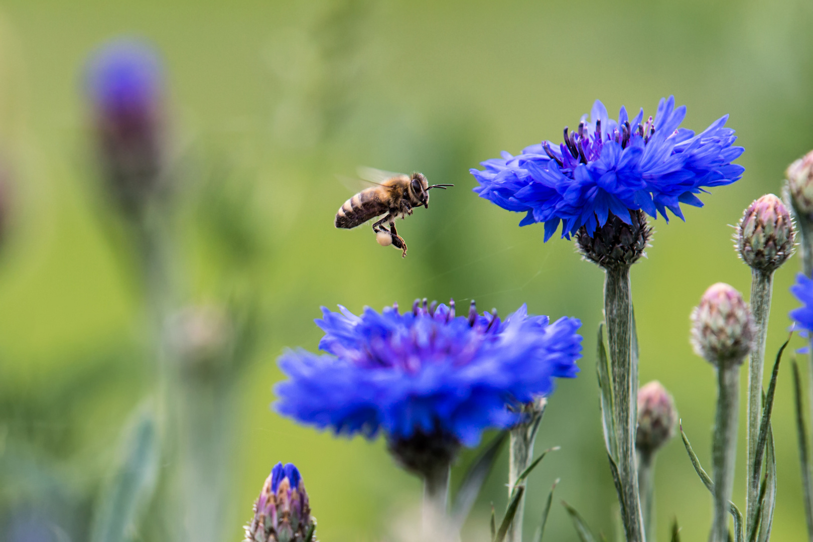 Landung im blauen Paradies