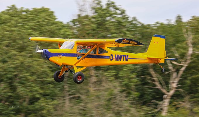 Landung im Dschungel?