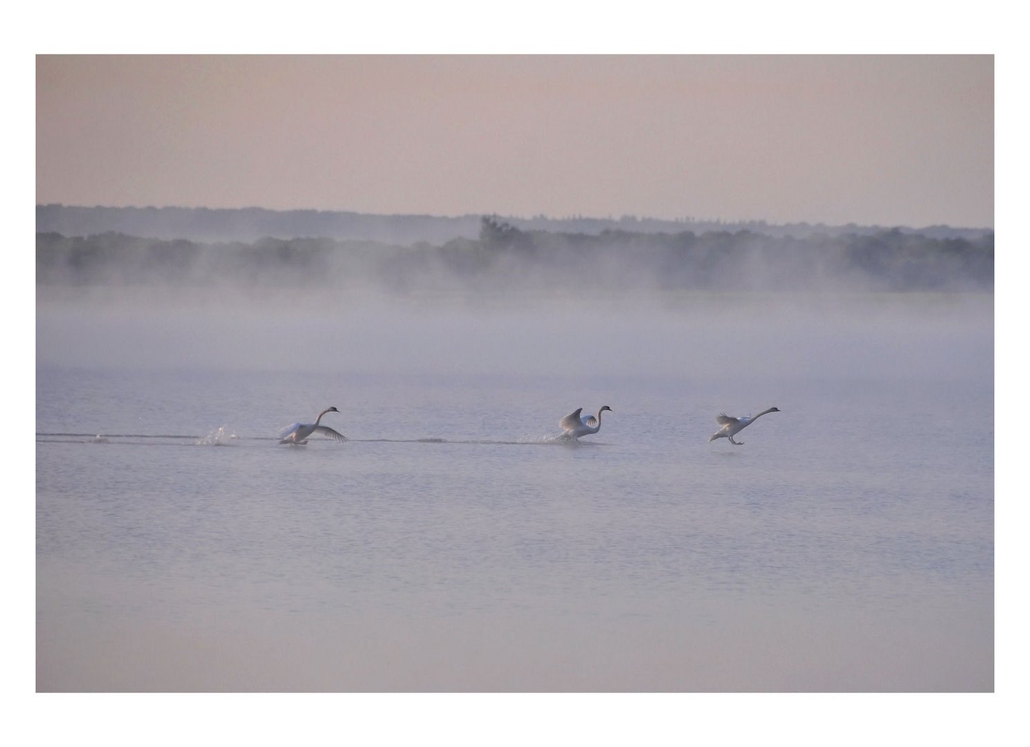 # Landung im Nebel