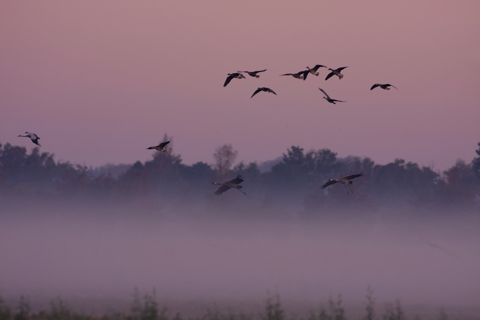 Landung im Nebel